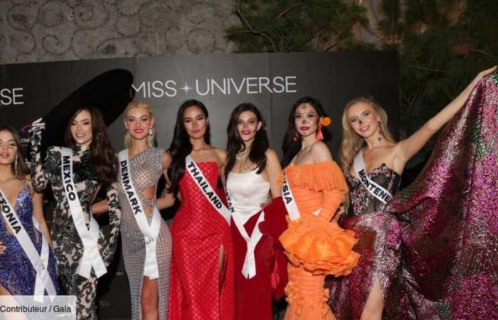 Miss Universe 2024: Wer ist die Gewinnerin Victoria Kjær Theilvig, Miss Dänemark?