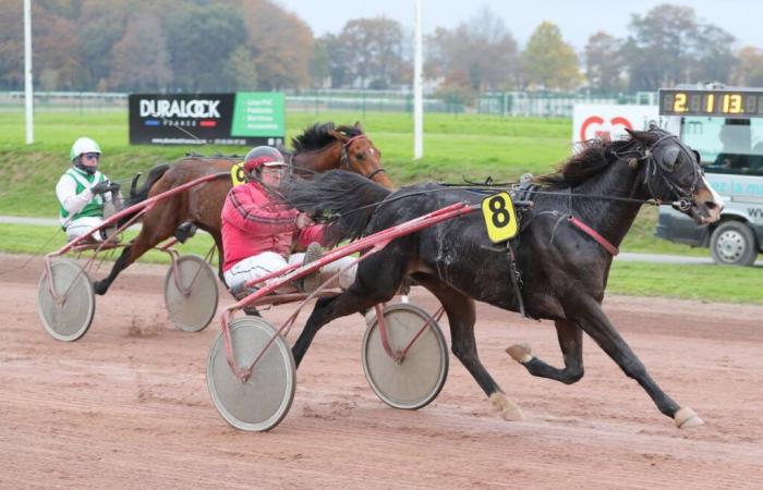 Regionales Finale für 5-Jährige (West): Die Jade-Hérinière-Überraschung