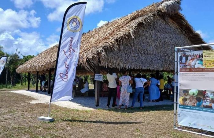 eine Ausstellung zur Förderung der Projekte des LEADER-Programms in West-Guyana