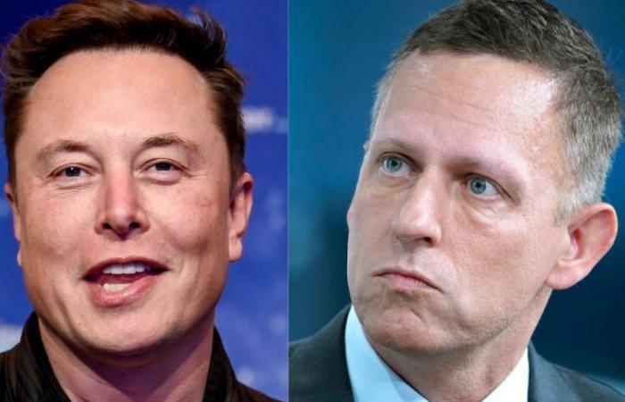 Peter Thiel sagt, Elon Musks Umarmung von Donald Trump habe anderen Führungskräften im Silicon Valley geholfen, sich sicher zu fühlen, ihn zu unterstützen