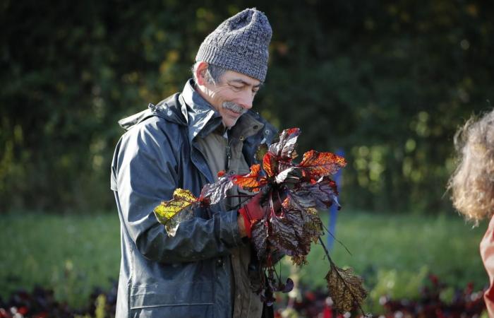 in Charente-Maritime der Erfolg partizipativer Projekte auf landwirtschaftlichen Betrieben