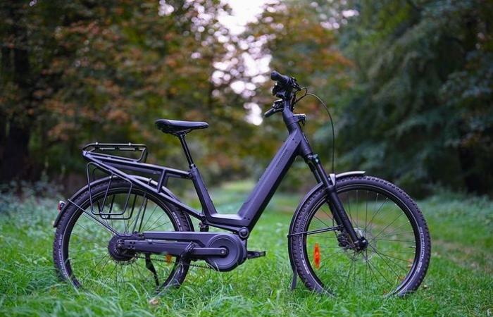 War die Euphorie des Radfahrens eine vorübergehende Modeerscheinung?