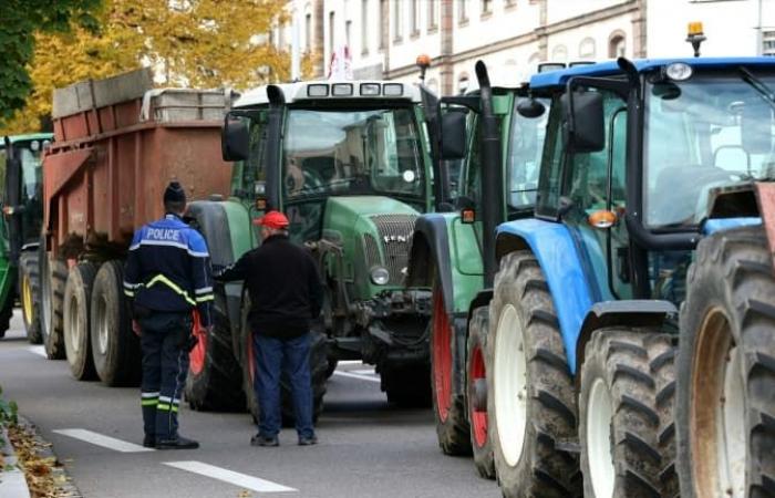 A10, N118… Die von den Landwirten für die Mobilisierung an diesem Sonntag in der Île-de-France geplanten Sperrstellen