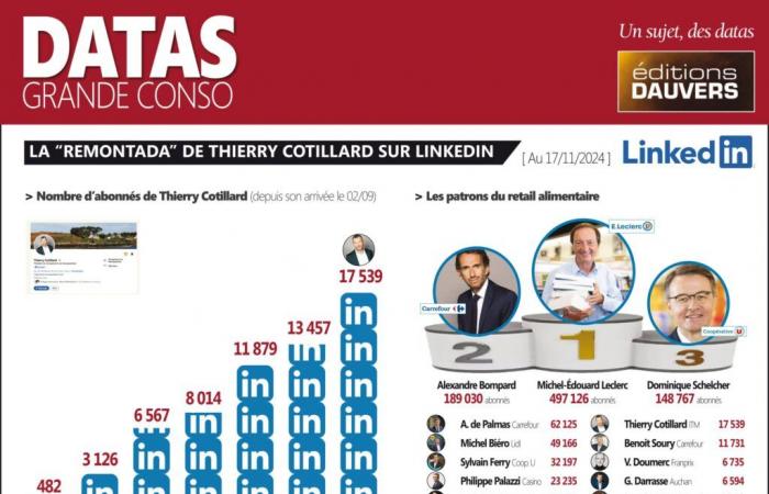 Linkedin: Thierry Cotillard kommt in die Top 10, MEL kennt 500.000 Abonnenten