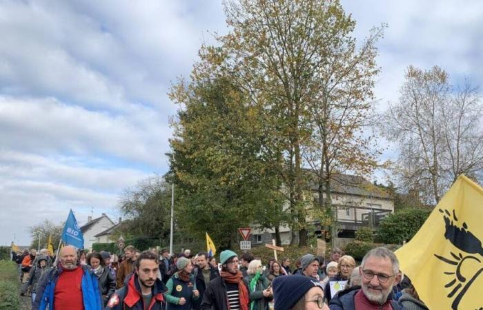 Im Süden des Ärmelkanals 500 Demonstranten gegen die Mega-Tomatenfarm