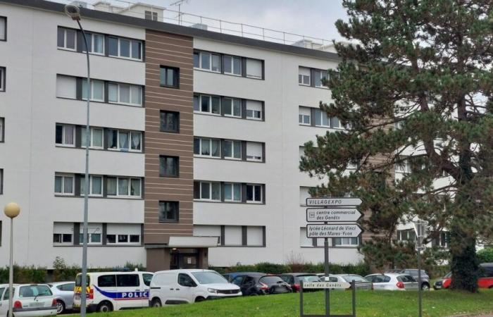 Vorübergehende Inhaftierung des mutmaßlichen Mörders von Yanis erforderlich, der in Saint-Michel-sur-Orge erstochen wurde