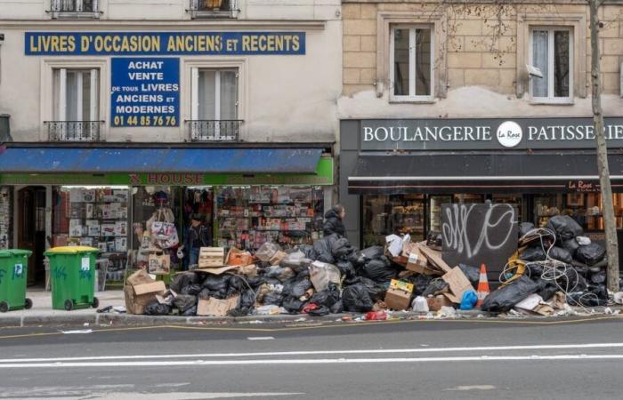 Jedes Jahr werden 30.000 Tonnen Müll auf den Straßen von Paris eingesammelt