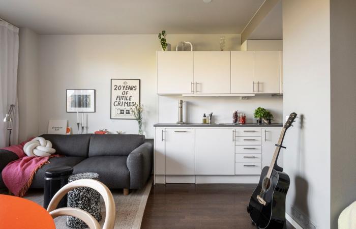 Ein modernes 33 m² großes Studio mit Alkoven