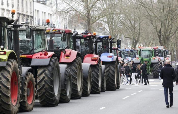 Welche Aktionen in Indre-et-Loire?