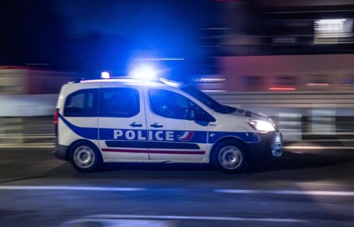 Ein Mann wurde in Val-de-Marne von der Polizei getötet, nachdem sie Beamte mit einer Pistole „bedroht“ hatte