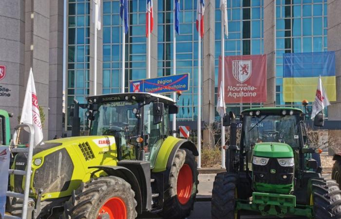 Verfolgen Sie ihre nächste Aktion im Zentrum von Bordeaux