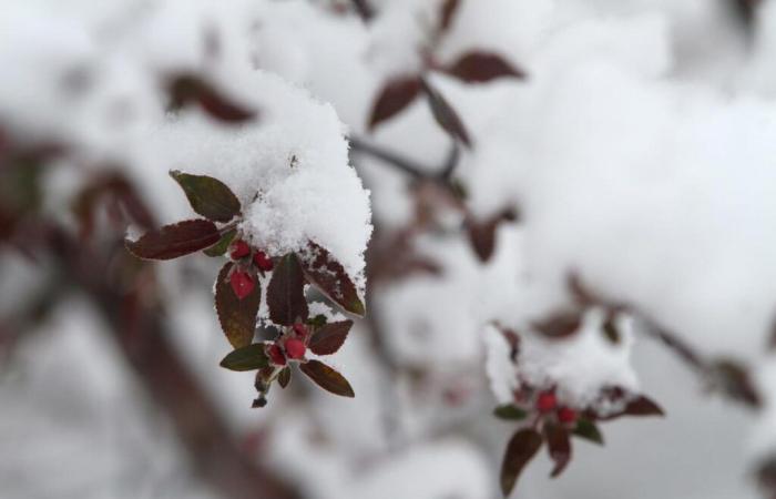 Winterwarnungen in den gesamten Vereinigten Staaten, wo an diesem Wochenende Schnee zu sehen sein könnte