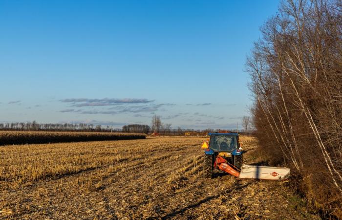 Besteht in Quebec Bedarf für eine umweltfreundliche Propananlage?