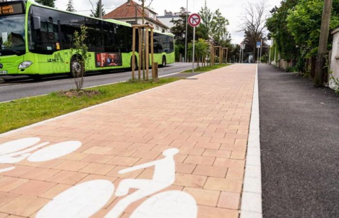 Mosel. Wissen Sie, wie viel ein Radweg in Metz kostet?