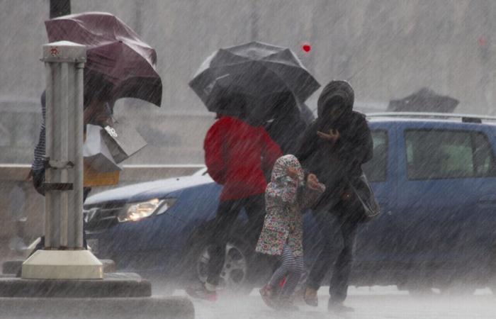 Météo France fordert den Norden und das Pas-de-Calais zur Wachsamkeit auf