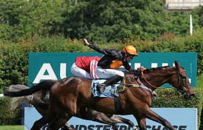 Gran Diose erreicht das Doppel Grand Steeple-Chase de Paris – Prix La Haye Jousselin – Springen