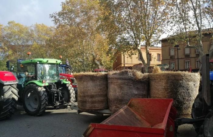 wo sich die Bauern in der Haute-Garonne versammeln