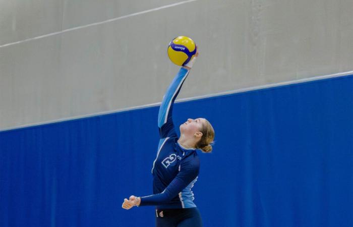 Volleyball: Drei Siege in Folge für die Citadins