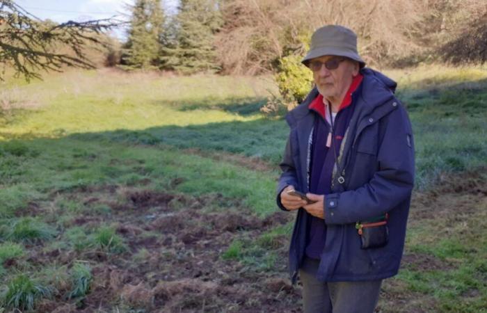 Angoulême: Wildschweine richten Schaden in der Stadt an