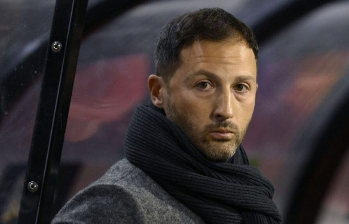 Israel – Belgien: „Domenico Tedesco hat jegliche Legitimität gegenüber den Spielern verloren“