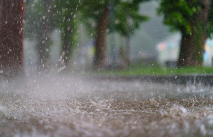 Regenflut und heftiger Wind im Jura erwartet: Was ist zu erwarten?