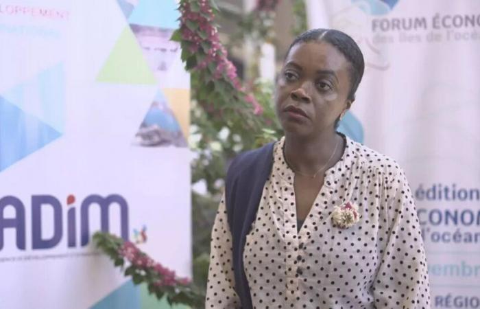 FEIOI: In Mayotte setzen Tourismus und regionale Produktion auf eine Zusammenarbeit im Indischen Ozean