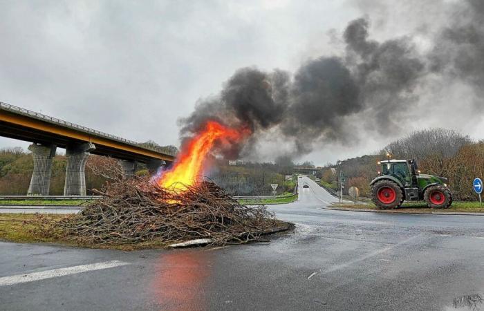 In Ille-et-Vilaine werden „Feuer des Zorns“ entzündet: Bauern erheben ihre Stimme