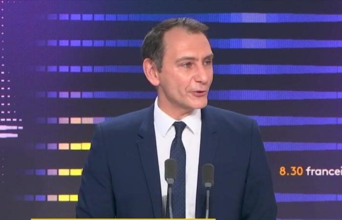 Laut Laurent Jacobelli, Sprecher des RN, habe Emmanuel Macron „nicht die Macht, das Abkommen zwischen der EU und dem Mercosur zu stoppen“.