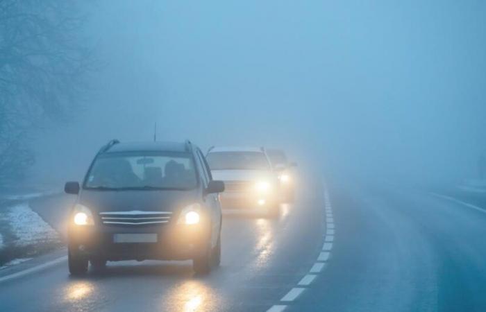 Wind und Regen erwartet