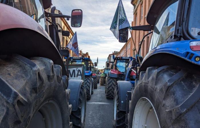 Mobilisierung der Bauern: Was erwartet uns diesen Montag in Albi?