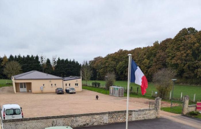 Ein Wildschwein stürzt vor dem Gemeindehaus eines Dorfes in Calvados