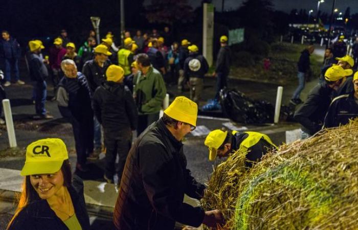 Die Koordinierung des ländlichen Raums übergibt die gelben Obergrenzen an Zielverwaltungen