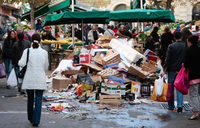 „Es ist Arbeit, aber es lohnt sich“… Familien sparen dank Zero Waste fast 4.000 Euro pro Jahr