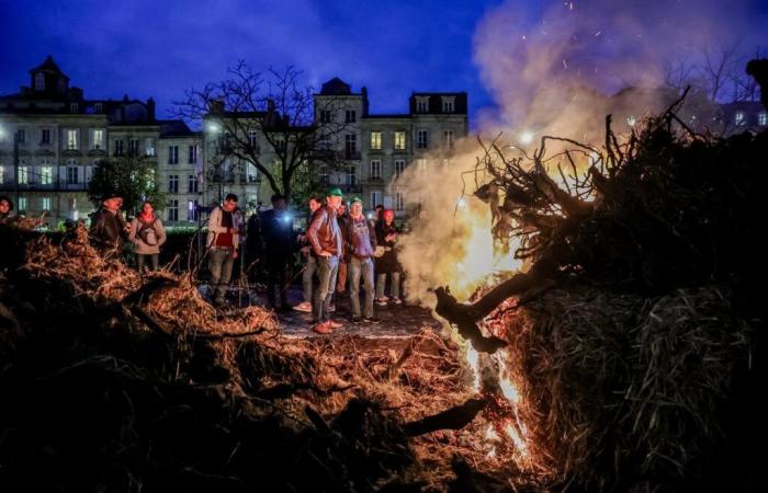 „Es hat sich nichts geändert, wir müssen bei Null anfangen und werden dabei nicht aufhören“