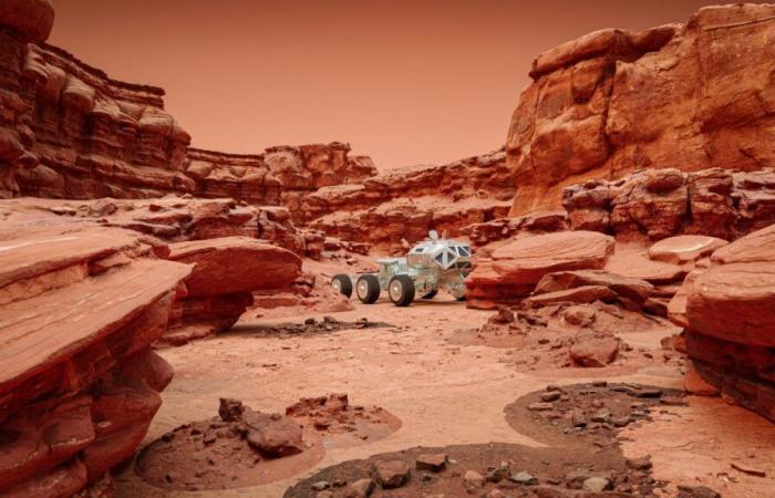 Hoppla, die NASA hat möglicherweise versehentlich Lebensformen auf dem Mars getötet