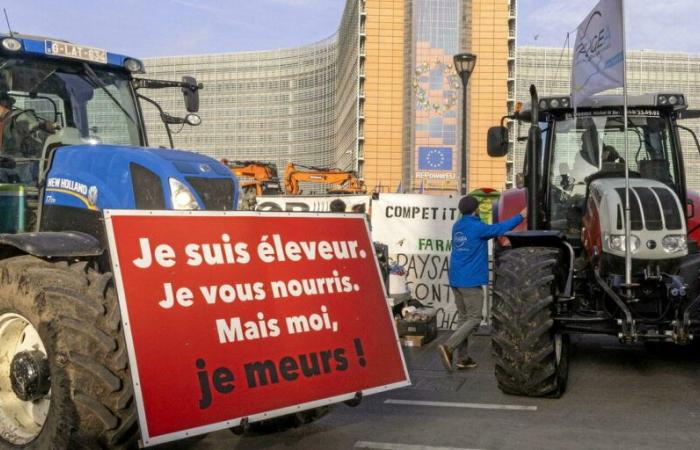 „Das Abkommen zwischen der EU und dem Mercosur ist nicht das Problem der französischen Landwirtschaft“