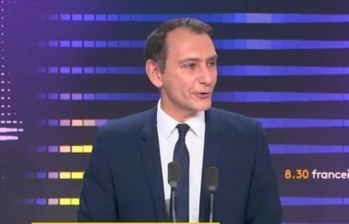 Laut Laurent Jacobelli, Sprecher des RN, habe Emmanuel Macron „nicht die Macht, das Abkommen zwischen der EU und dem Mercosur zu stoppen“.