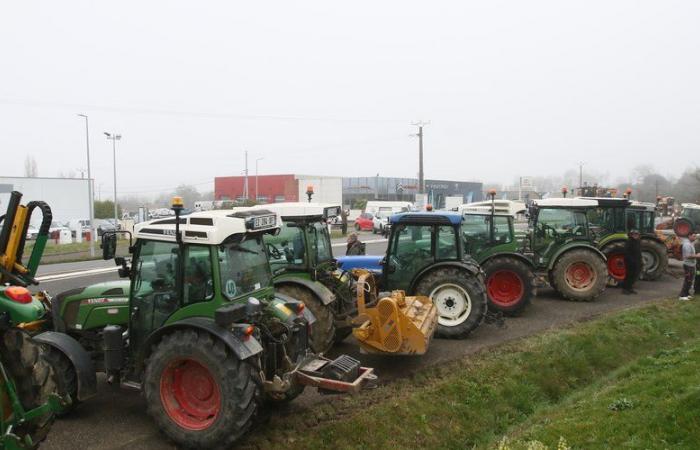 DIREKT. Wut der Landwirte: Kreisverkehre, Straßen, Präfekturen … verfolgen Sie ihre Mobilisierung an diesem Montag, dem 18. November