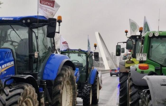 Direkt: Loiret-Bauern installieren einen Filterdamm an der Europabrücke in Orléans