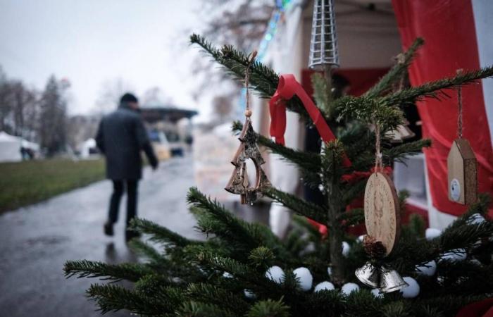 Erste Aktion wütender Landwirte in Nièvre: Die Erstattung von Medikamenten wird gestrichen … Erinnernswerte Neuigkeiten von diesem Montag