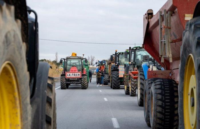 Wütende Bauern: Vor der Sperrung der Autobahn A9 und der spanischen Grenze „85 Demonstrationspunkte“ von Var bis Calvados