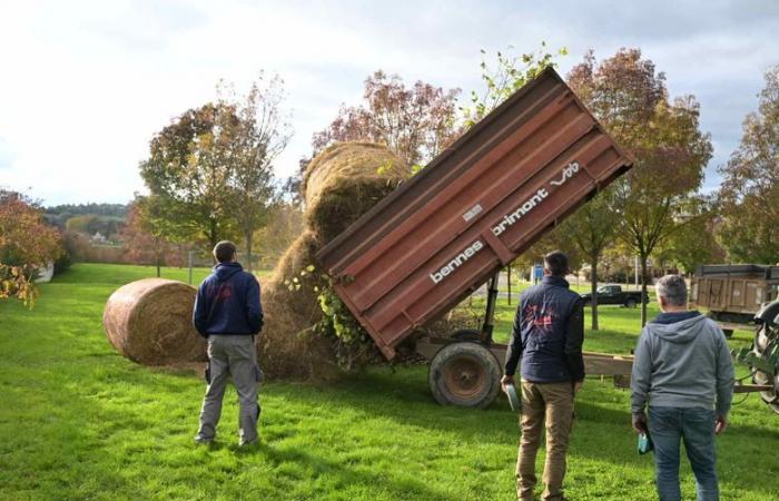 Wut der Landwirte: „Wir werden die notwendigen Mittel einsetzen, schade um die Folgen“, Dutzende Traktoren erreichten die Präfektur Gers