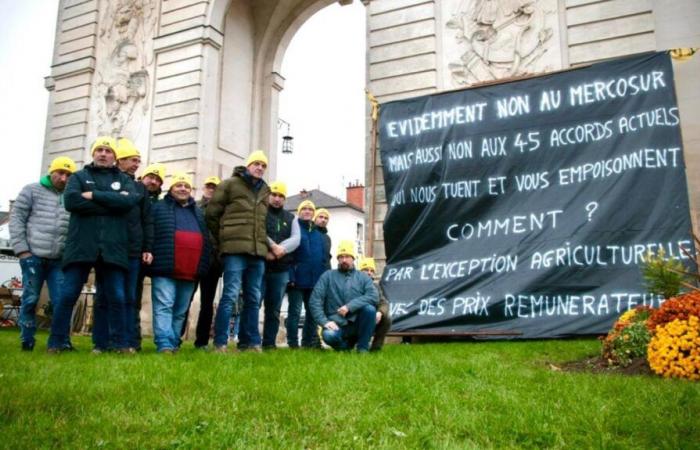 Die Koordinierung des ländlichen Raums Marne möchte ihren Unterschied zur FNSEA deutlich machen