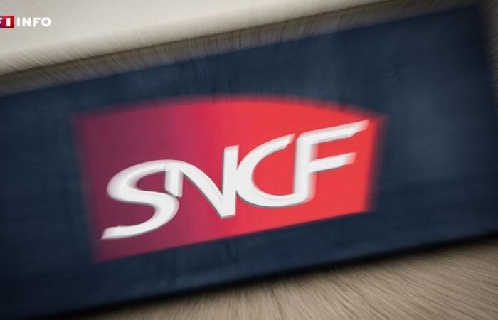 Streik am SNCF: Was die Eisenbahnarbeiter wirklich anspruchsvoll sind