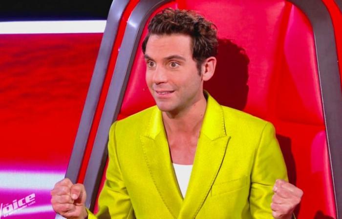 Mika: „Ich stoppe alle meine Fernsehsendungen in Frankreich“