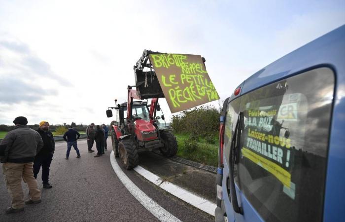 Erste Aktion wütender Landwirte in Nièvre: Die Erstattung von Medikamenten wird gestrichen … Erinnernswerte Neuigkeiten von diesem Montag