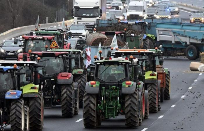 15 Sperrstellen in der Mosel