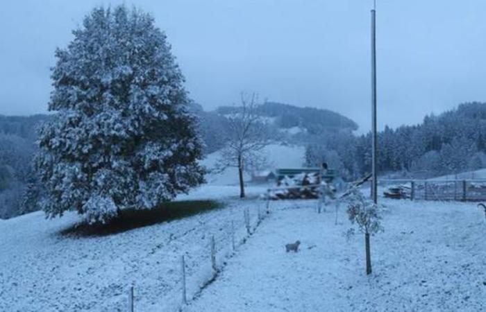 Der Schnee erreicht diese Woche das Schweizer Flachland