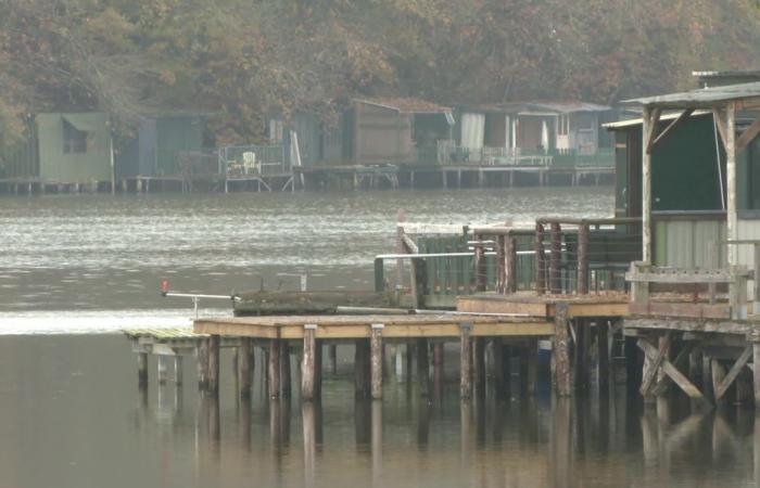 PFAS, Pestizide, Schlamm … Zu verschmutzt, wird der Carcraon-Teich verschwinden?