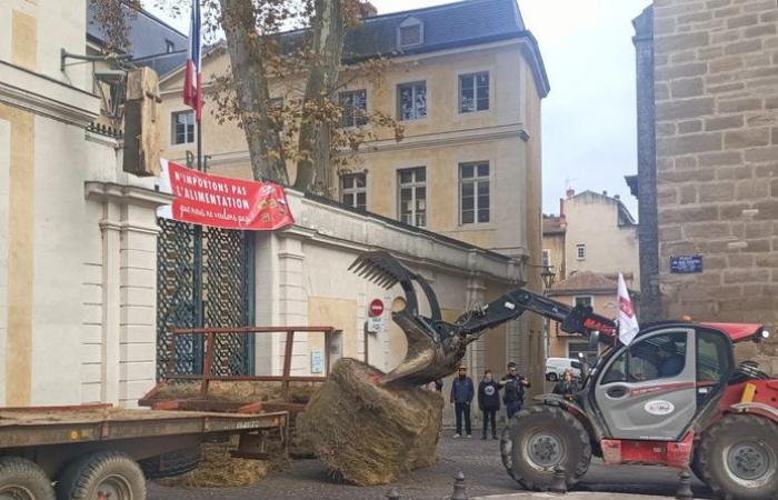 Wut der Bauern: „Es ist herzzerreißend“, „Stoppt den Agrarmord“, viele Bauern auf der Straße